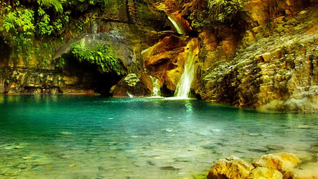 Río, manantial, agua fría, vegetación, rocas