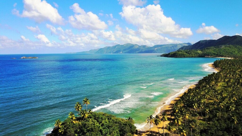 mar profundo y azul, palmeras, arena dorada, cielo azul y nubes blancas