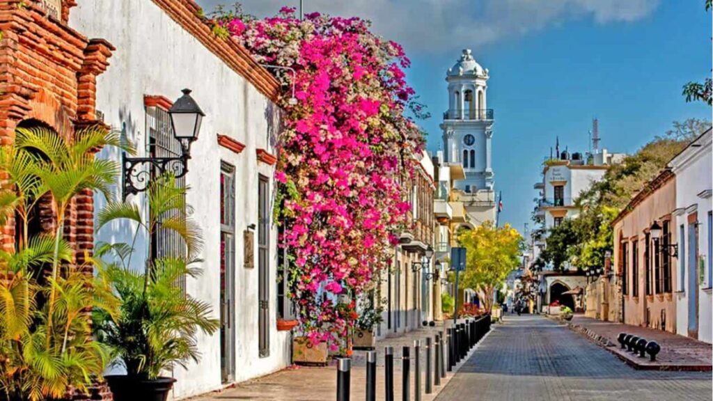 flores rosas, árvoles, palmeras, plantas, edificios, casas, torre, calle Santo Domingo