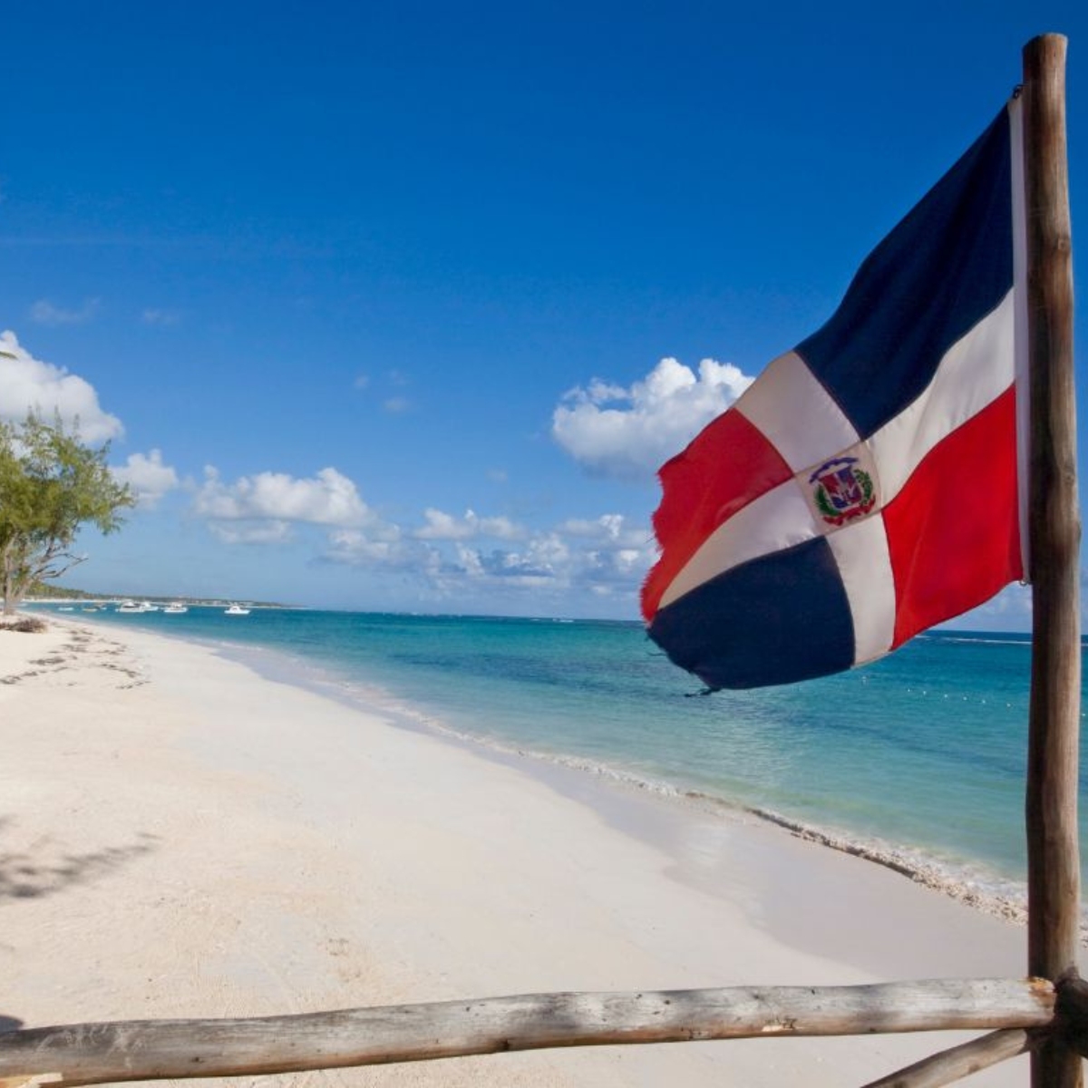 Entrada a República Dominicana. Bandera, playa paradisíaca, arena blanca, palmeras