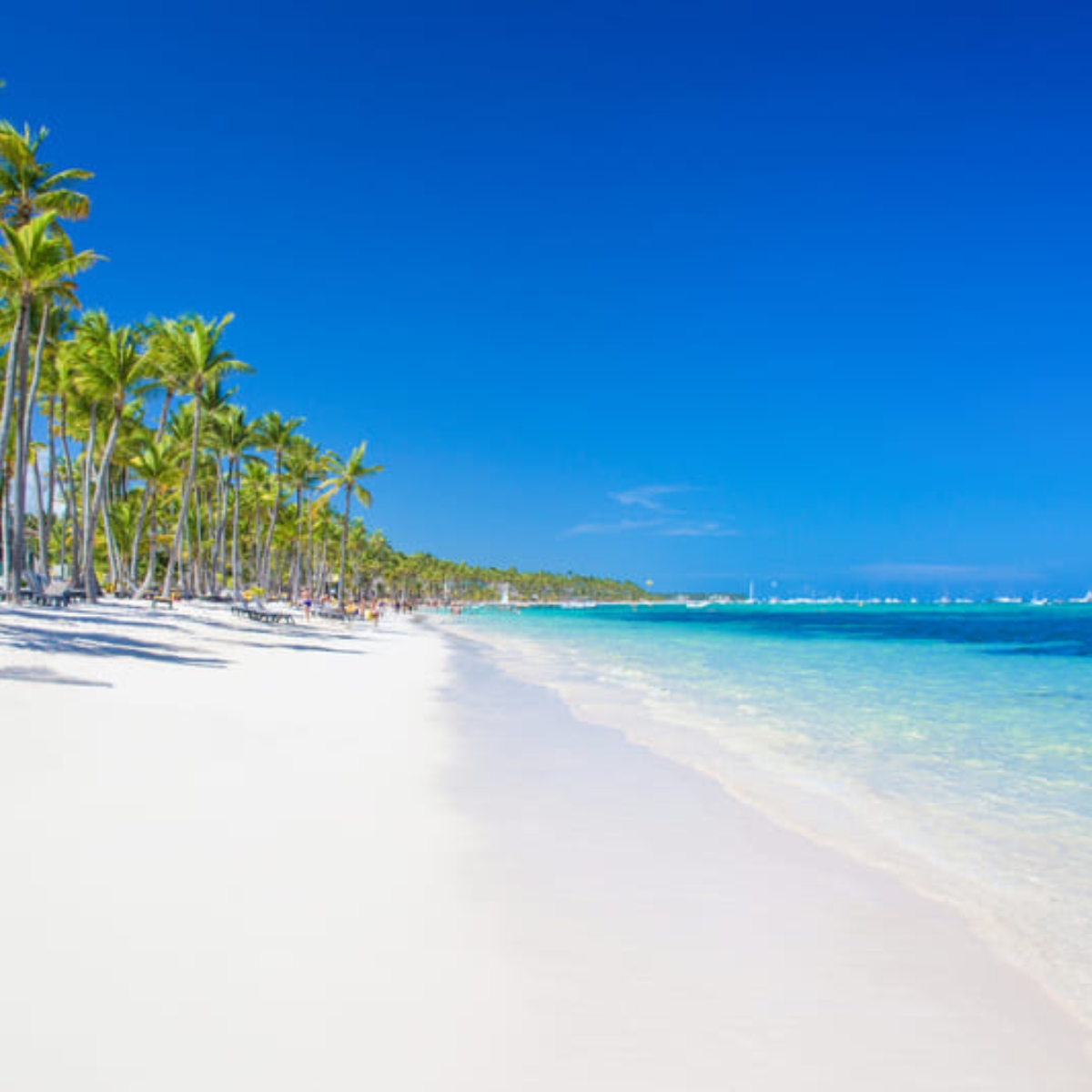 Playa Bávaro, República Dominicana, Agua de color azul, arena blanca, palmeras, paraíso