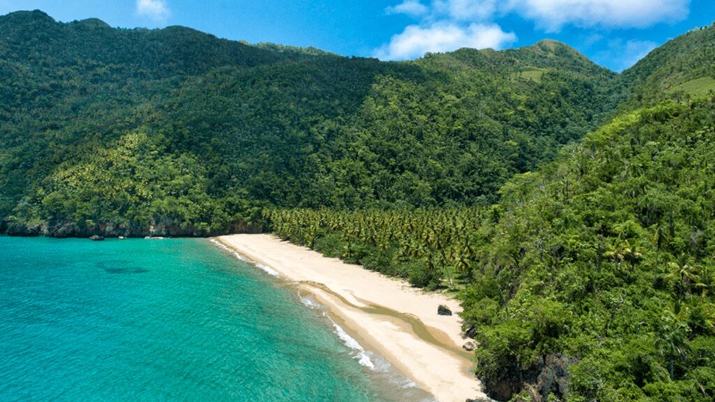 Playa el valle, mucha vegetación, árboles, mar, arena blanca