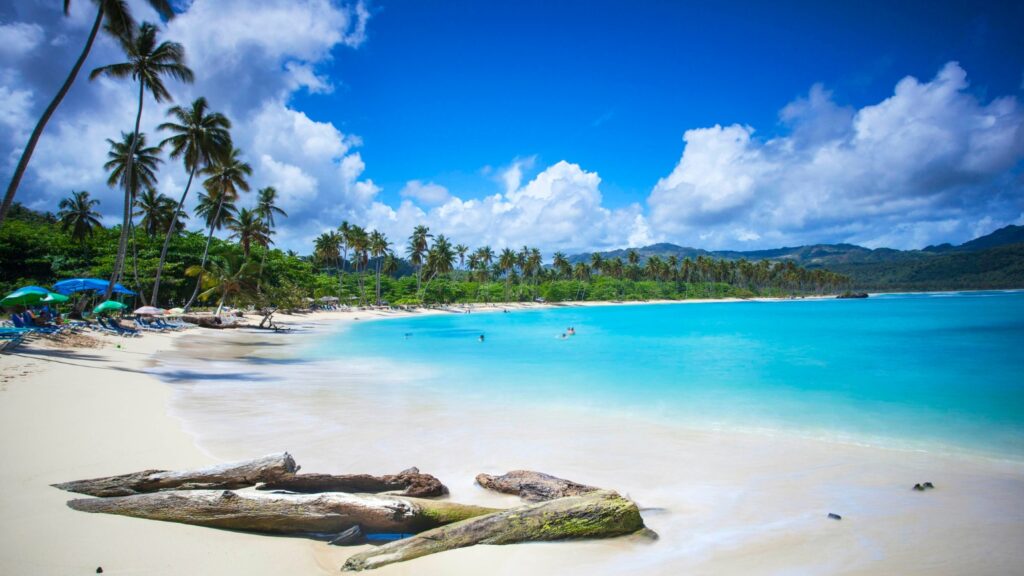Playa de las galeras, agua de color azul, arena blanca, vacaciones, palmeras, vegetación