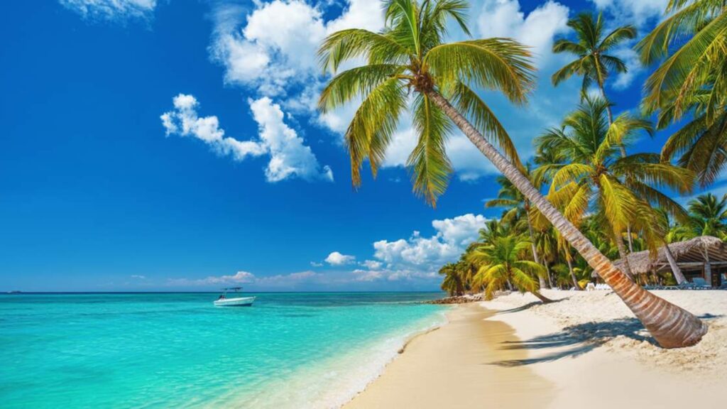 Playa Punta Cana, agua azul, arena blanca, palmeras, cielo azul, paraíso