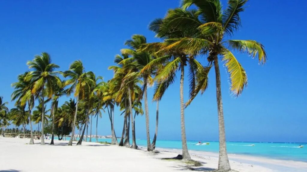 Playa Boca Chica, palmeras, arena blanca, mar agua azul