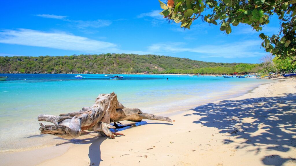 Playa la Ensenada, agua azul, arena blanca, vegetación, árboles