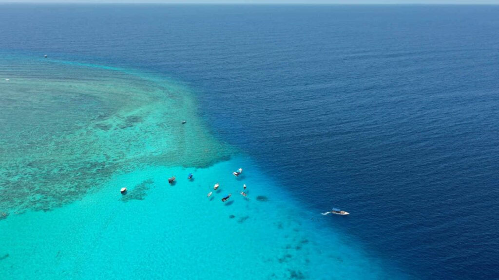 Reserva Marina de Mnemba, embarcaciones, snorkel
