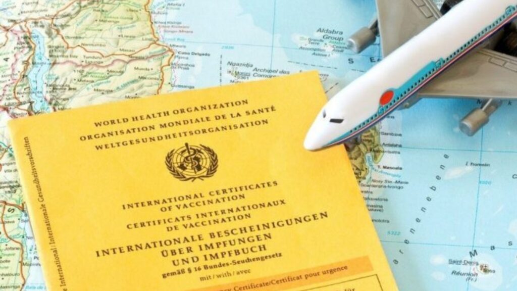 Seguridad, salud y vacunación en Zanzíbar. carné de vacunación internacional. mapa mundi, avión